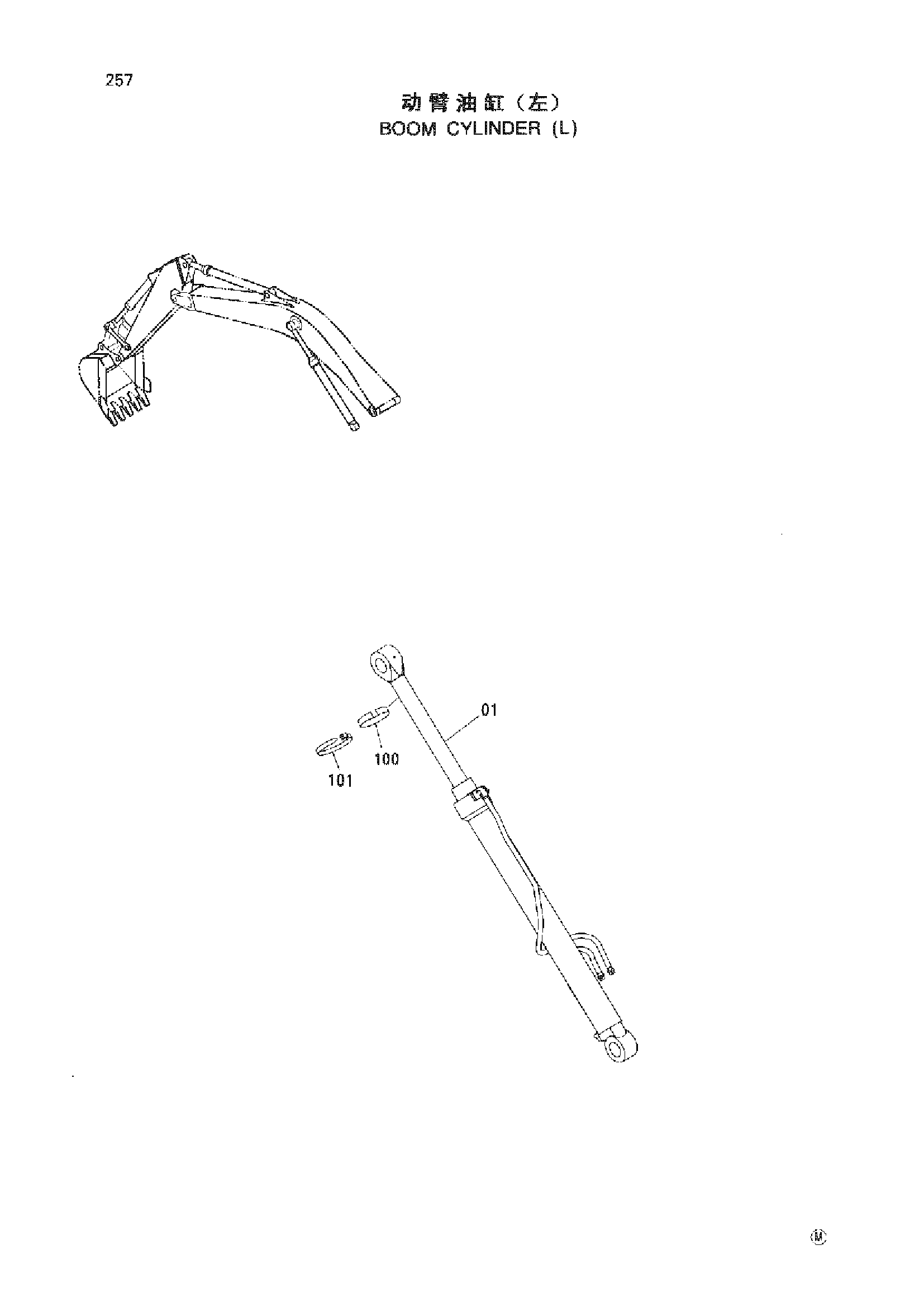 Схема BOOM CYLINDER ( L ) HITACHI ZX230-HHE